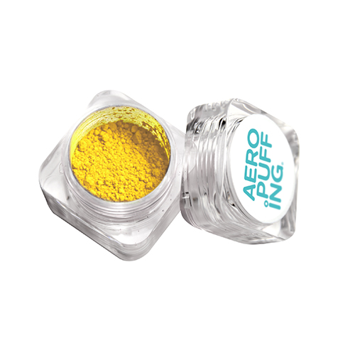 Dry Pigment №2 Yellow 2gr