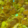 Flakes 34 - Image 2
