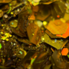 Flakes 10 - Image 2