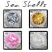 Sea_Shells_all_s1