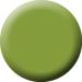 G9554-Glamazone-Olive-Oasis-Color-plakaki